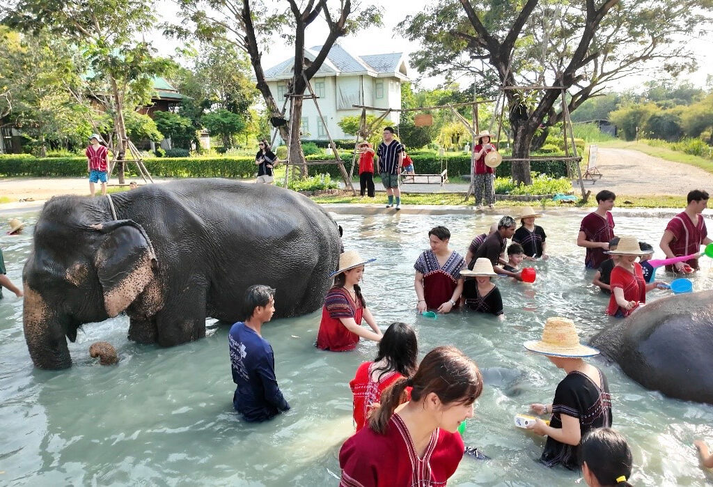 04曼谷大象公園