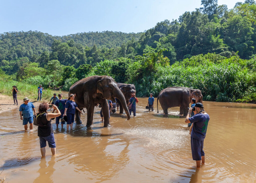 04清邁Maetaeng Elephant Park
