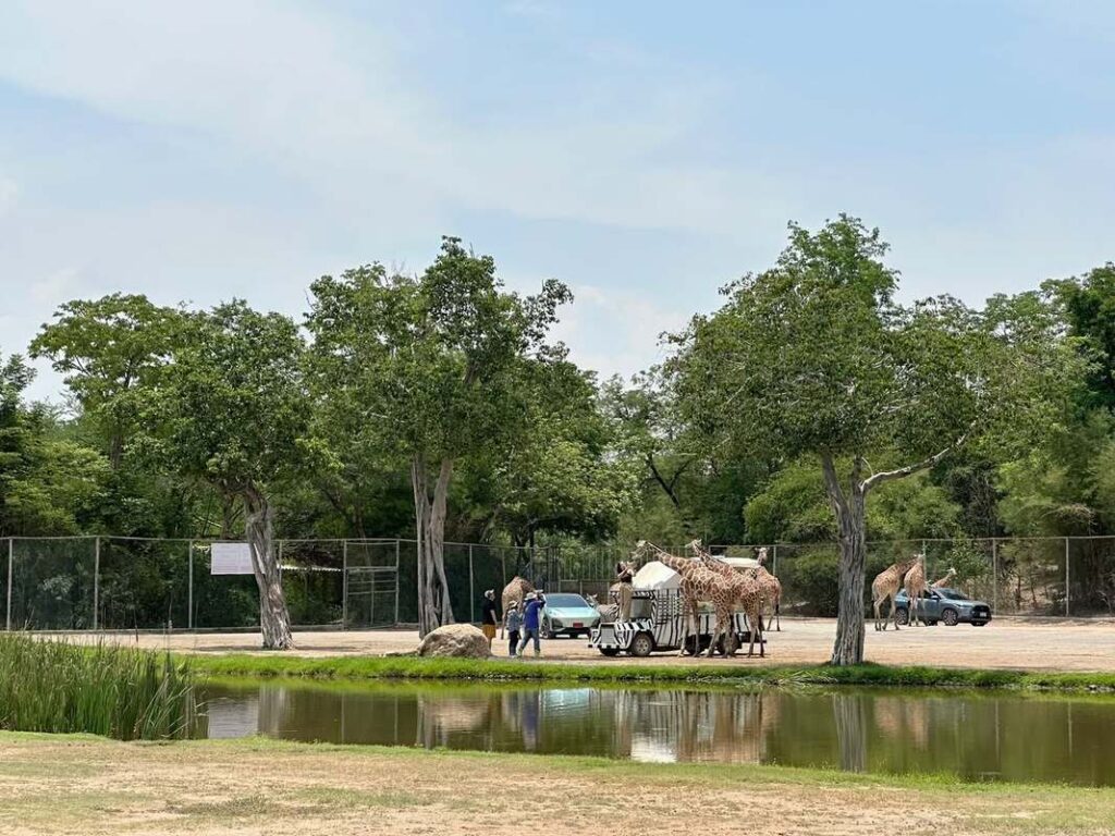 06北碧府動物園