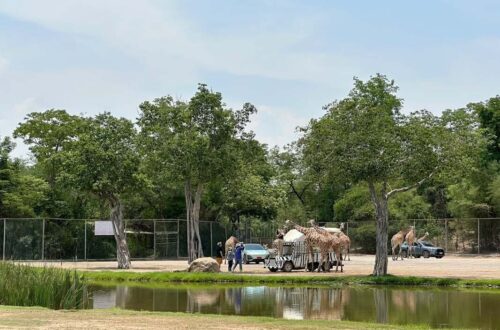 06北碧府動物園