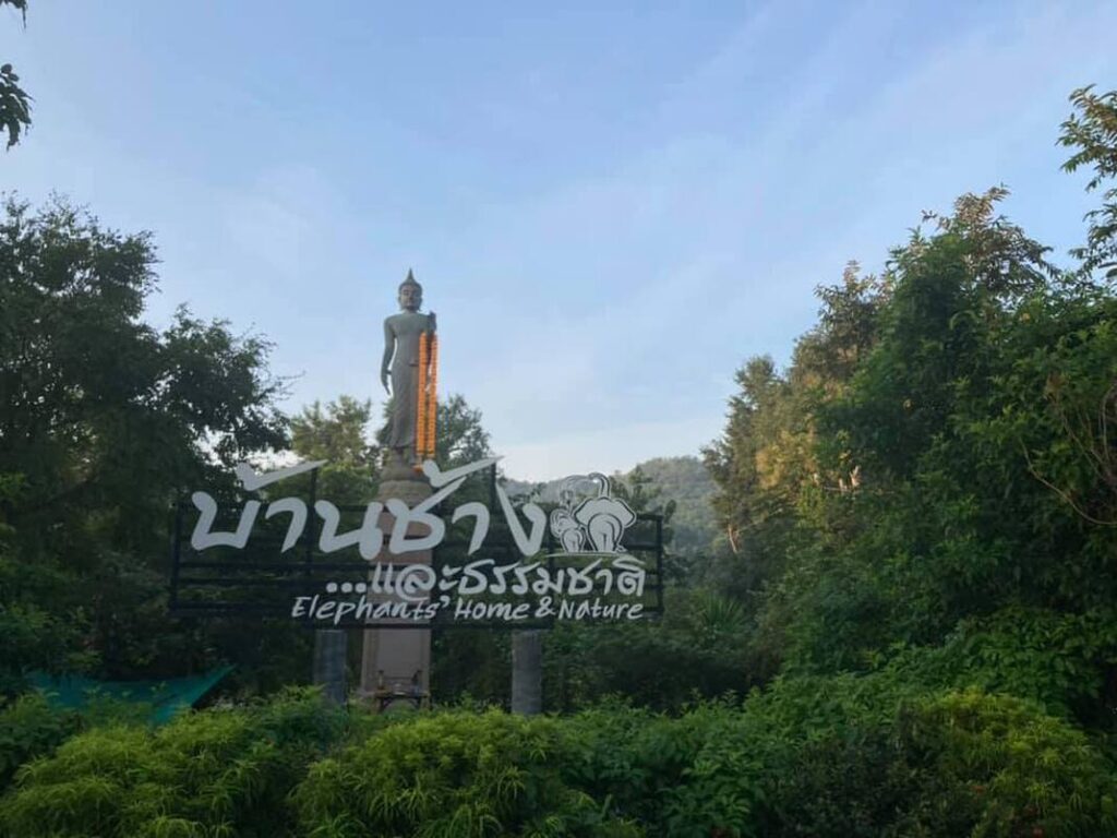 125208063-945117882558493-8446673854068318346-n