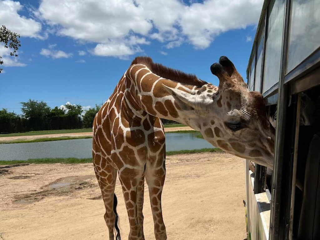 12北碧府動物園