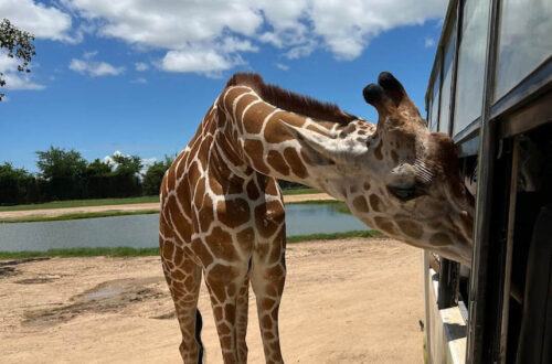 12北碧府動物園