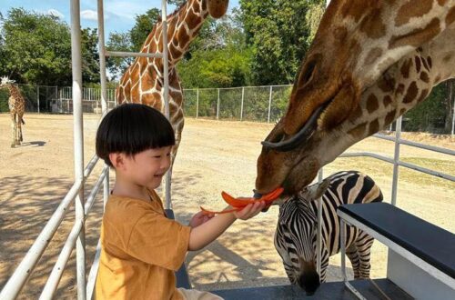13北碧府動物園