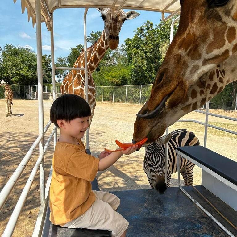13北碧府動物園