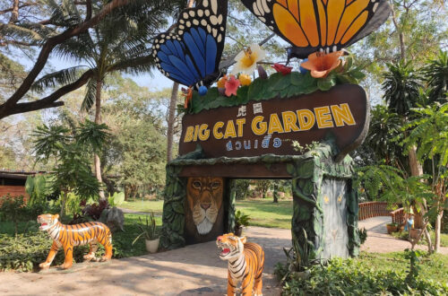 15北碧府動物園