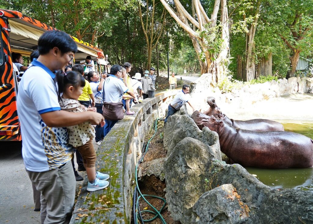 16清邁夜間動物園