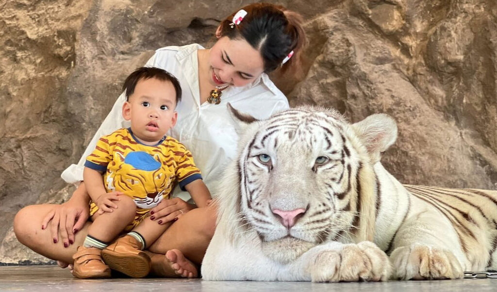 16華欣動物園