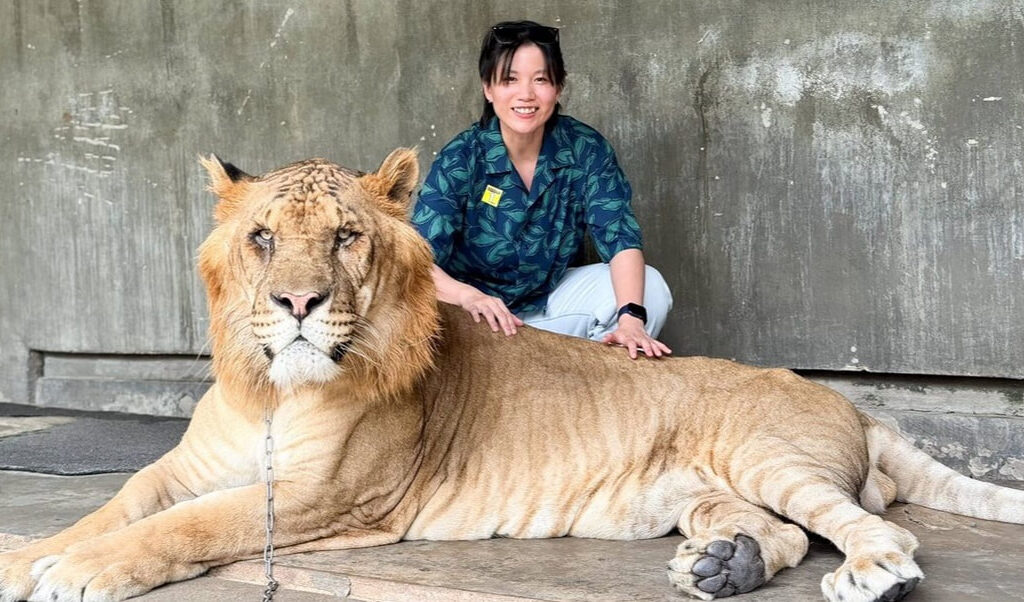 17華欣動物園