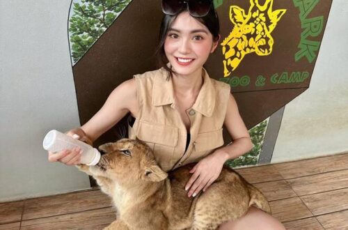 18北碧府動物園