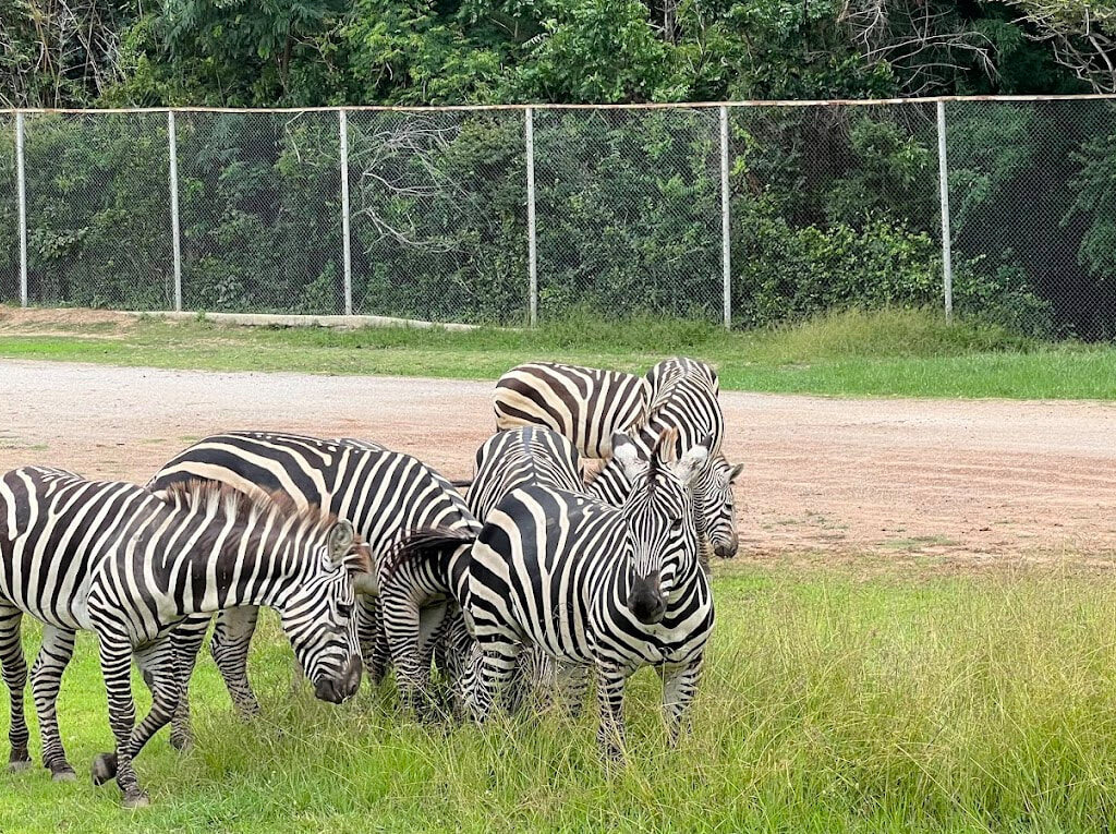 23北碧府動物園