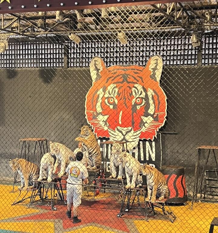 27華欣動物園