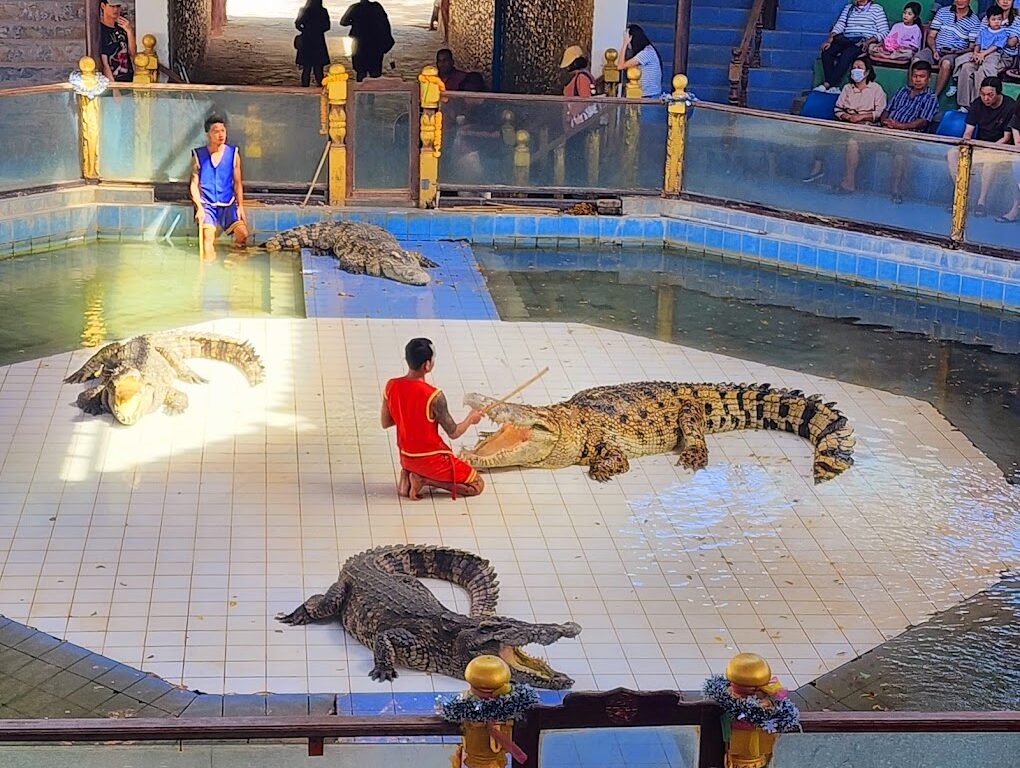 29北碧府動物園
