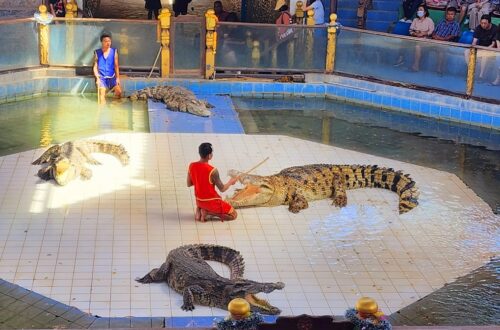 29北碧府動物園