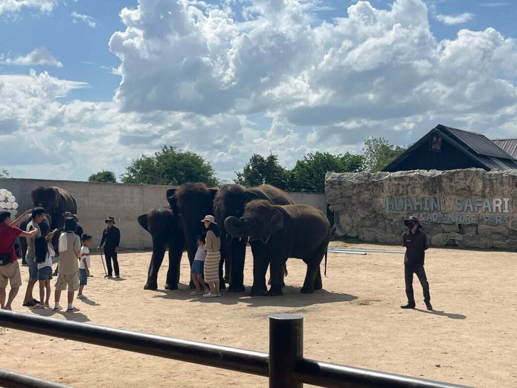 29華欣動物園