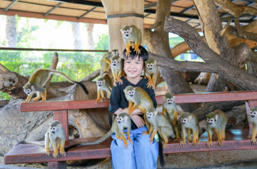 30大城動物園