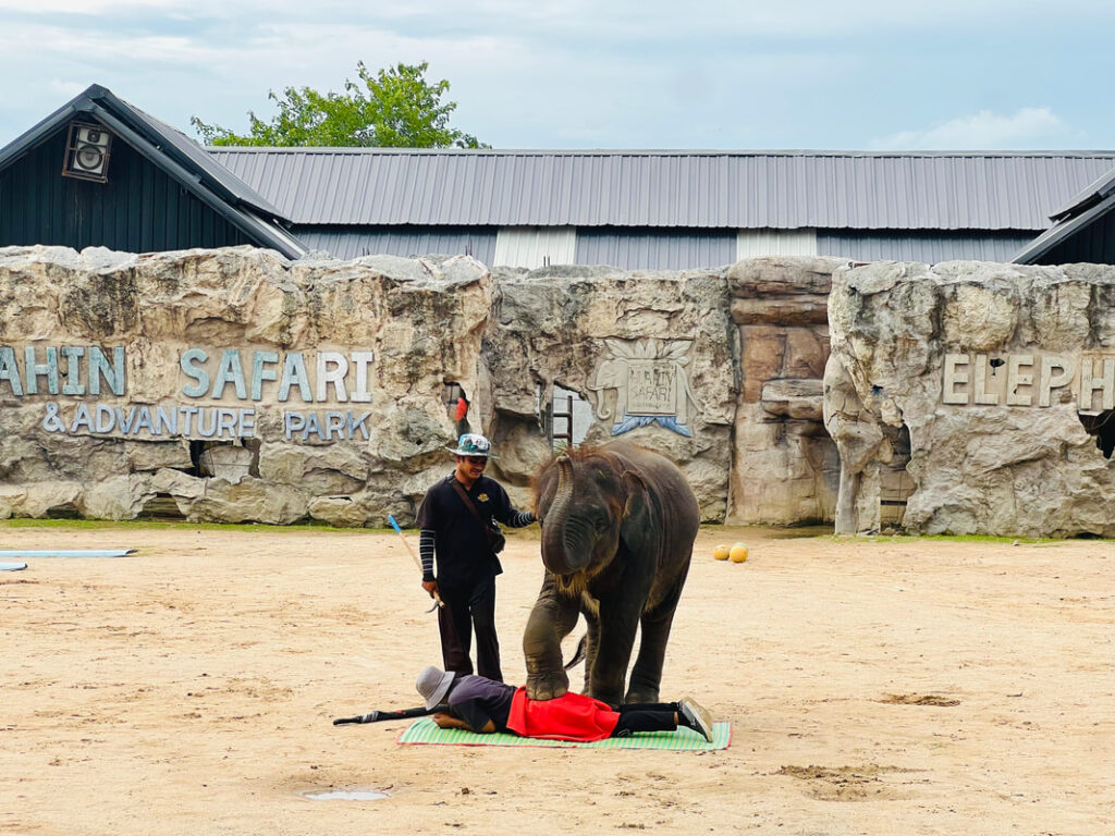 30華欣動物園