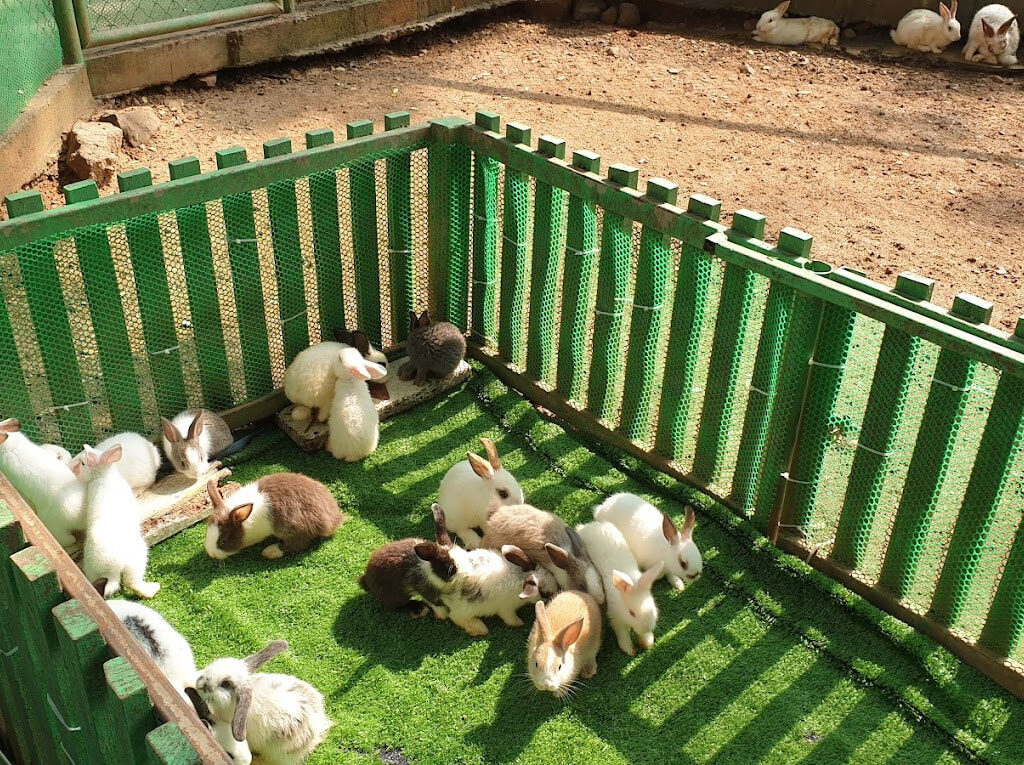 31北碧府動物園