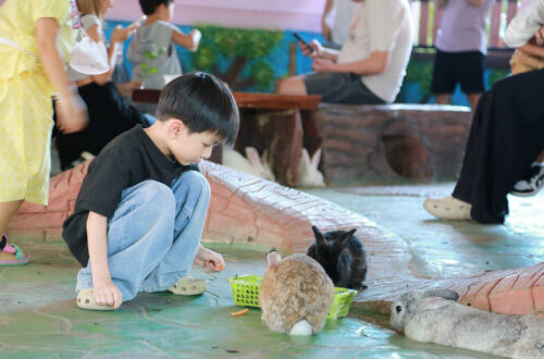 34大城動物園