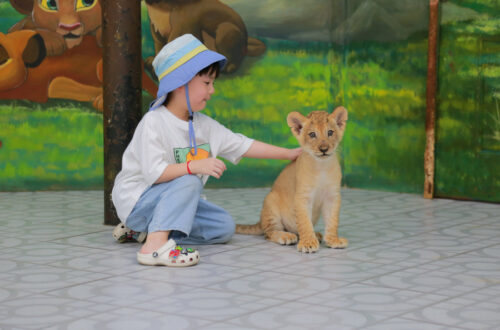 38大城動物園