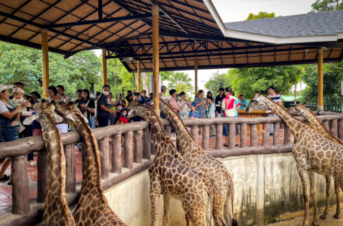 43大城動物園