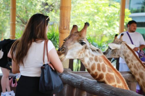 44大城動物園