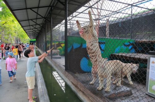 45大城動物園