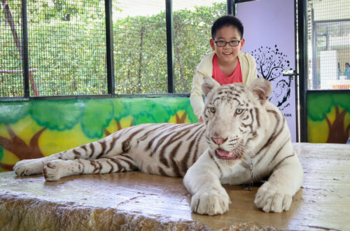 46大城動物園