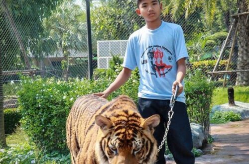 47大城動物園