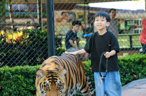 48大城動物園