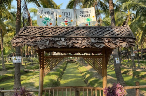 coconut-market-1-mario_orig