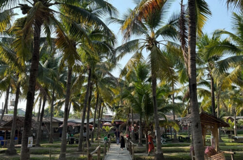 coconut-market-5-mario_orig